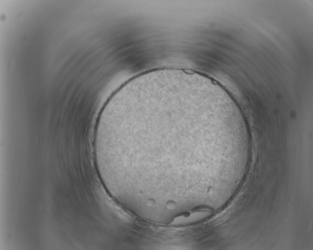 X0000088411248200706191414