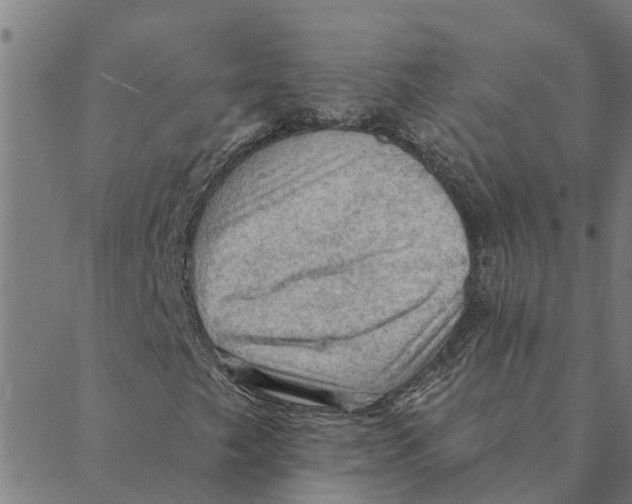 X0000088411249200706191414