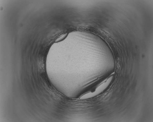 X0000088411252200706191414