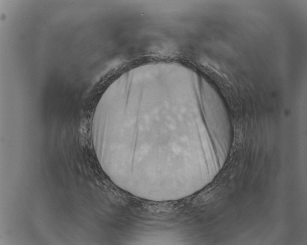 X0000088411254200706191414