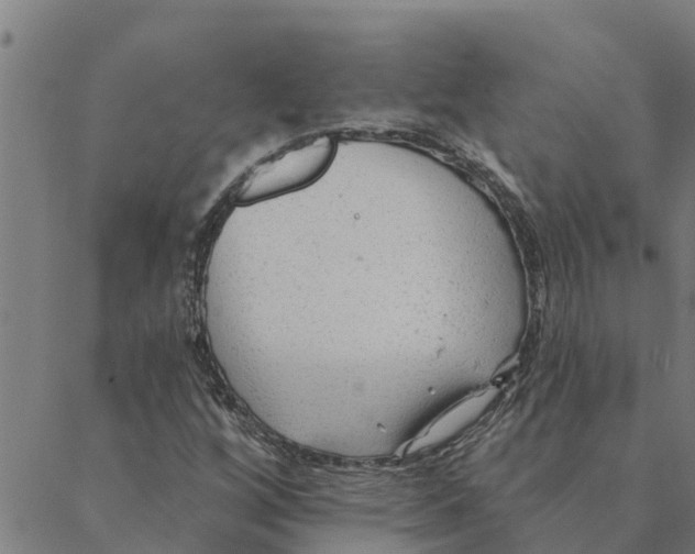 X0000088411256200706191413