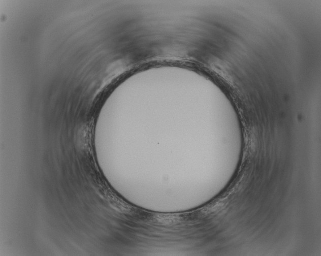 X0000088411258200706191413