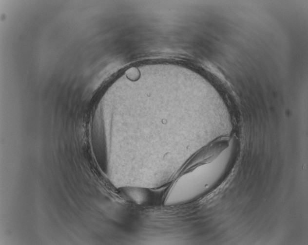 X0000088411259200706191413