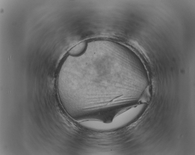 X0000088411260200706191413