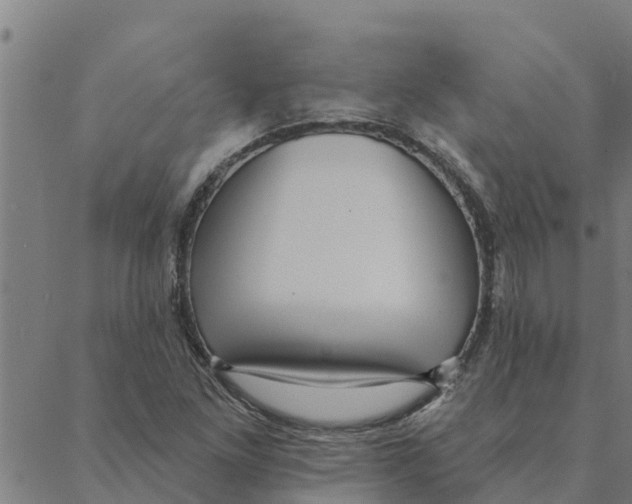 X0000088411261200706191413