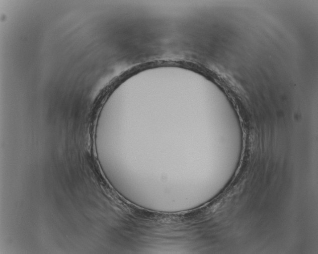 X0000088411262200706191413