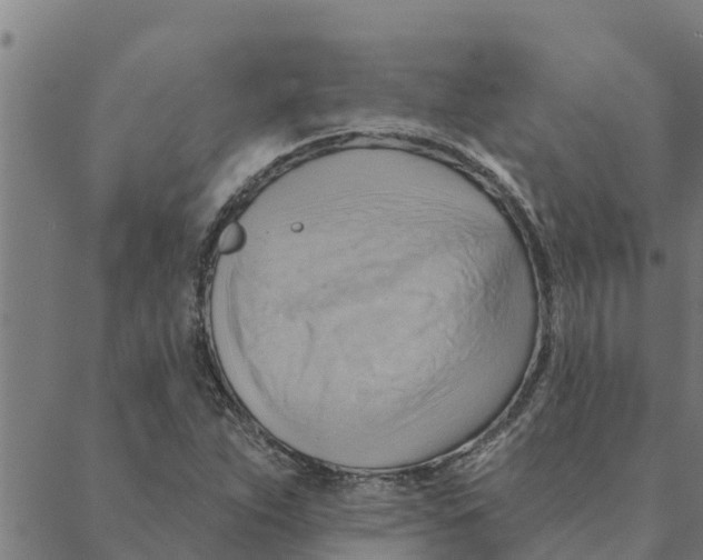 X0000088411263200706191413