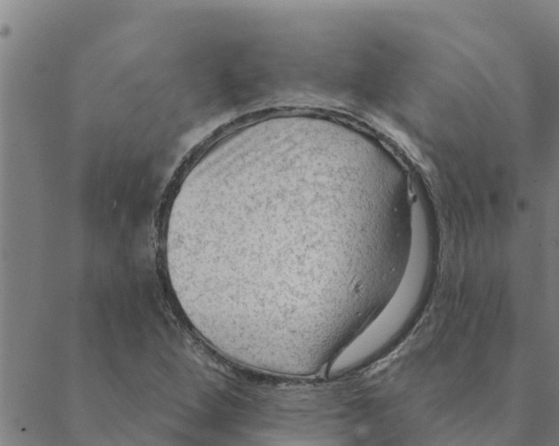 X0000088411264200706191413