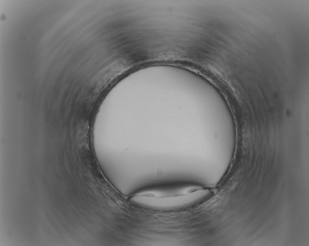 X0000088411265200706191413