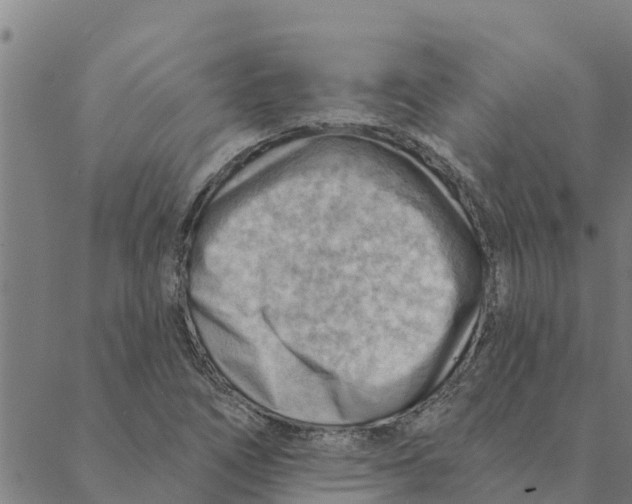 X0000088411266200706191413