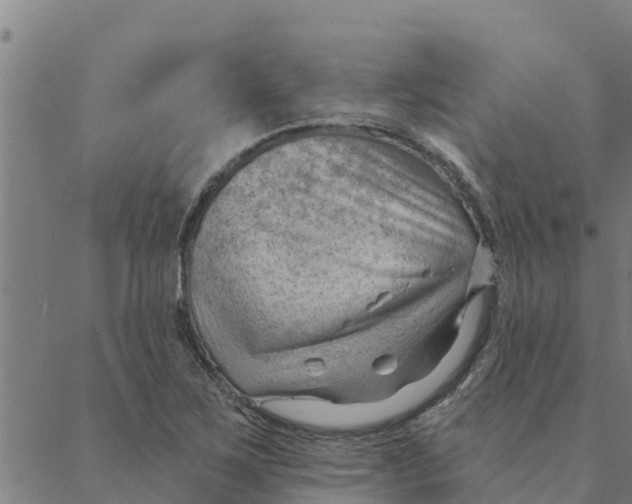 X0000088411267200706191413