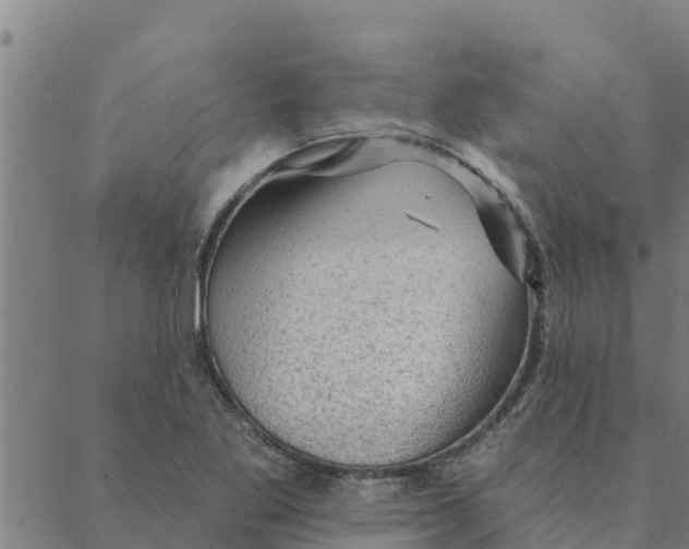 X0000088411269200706191413