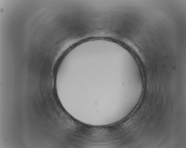 X0000088411270200706191413