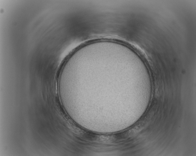 X0000088411271200706191413