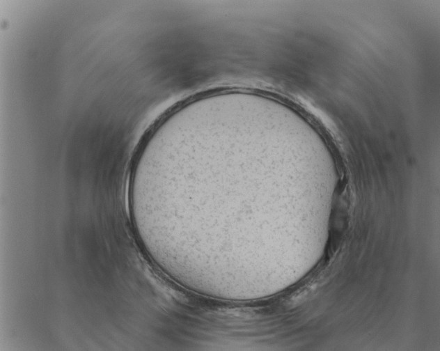 X0000088411272200706191413