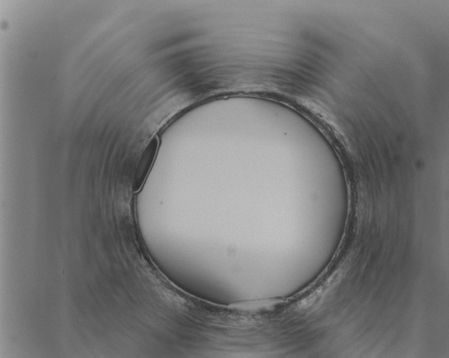 X0000088411273200706191413