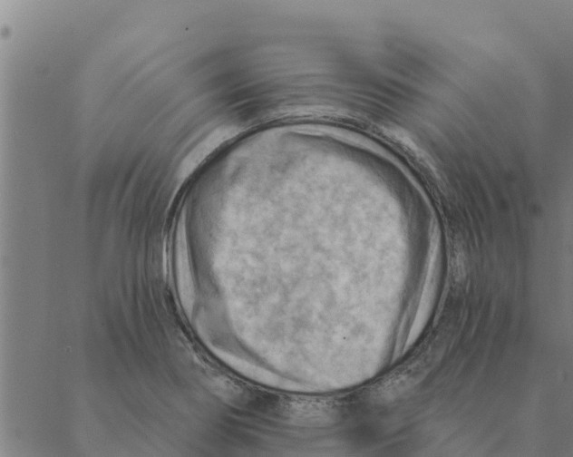 X0000088411274200706191413