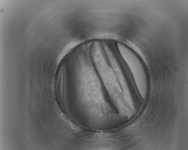 X0000088411277200706191413