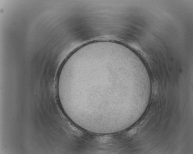 X0000088411278200706191413