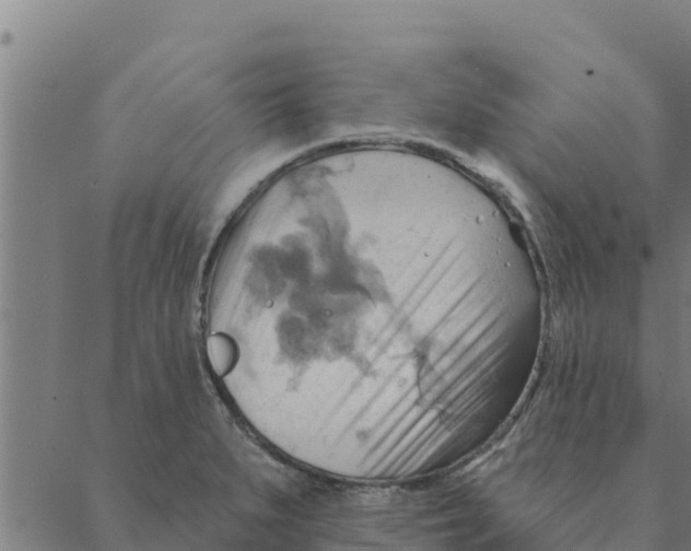 X0000088411279200706191413