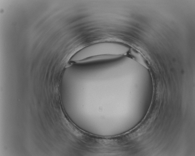 X0000088411281200706191413