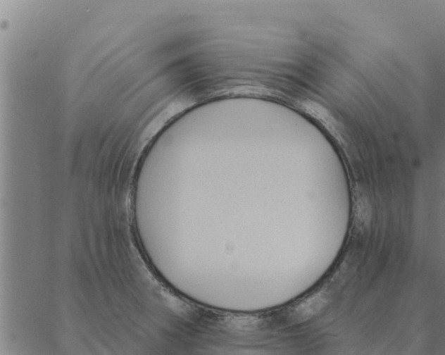 X0000088411282200706191413