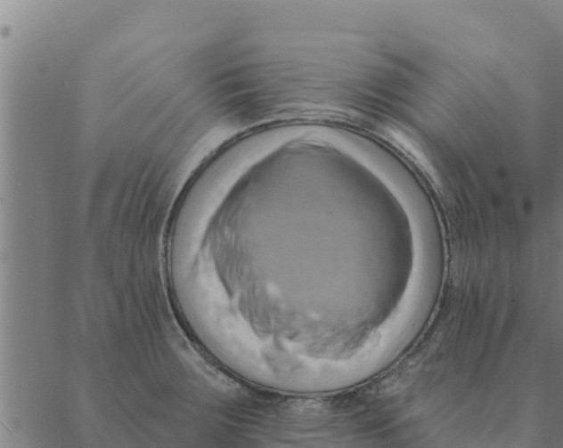 X0000088411283200706191413