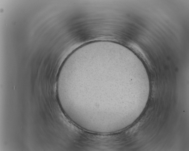 X0000088411284200706191413