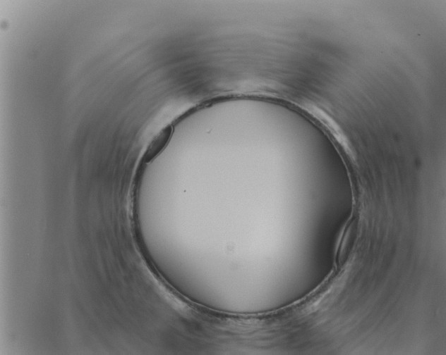 X0000088411285200706191413