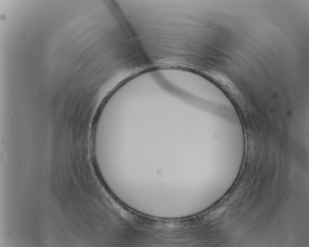 X0000088411286200706191413