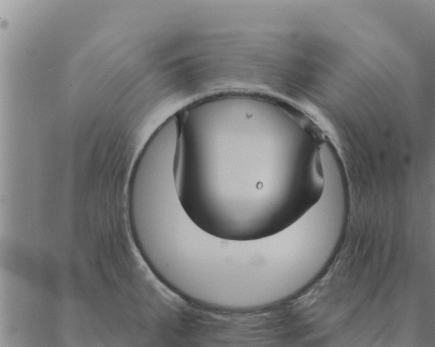 X0000088411287200706191413