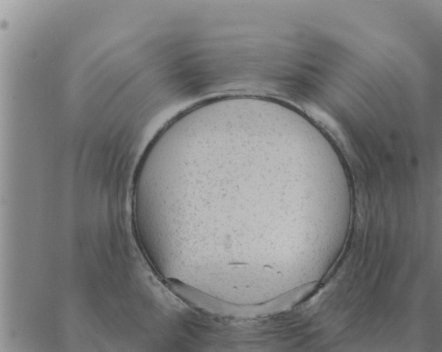 X0000088411288200706191413