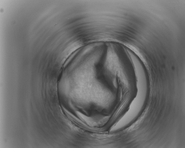 X0000088411289200706191413