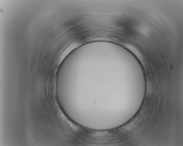 X0000088411290200706191413