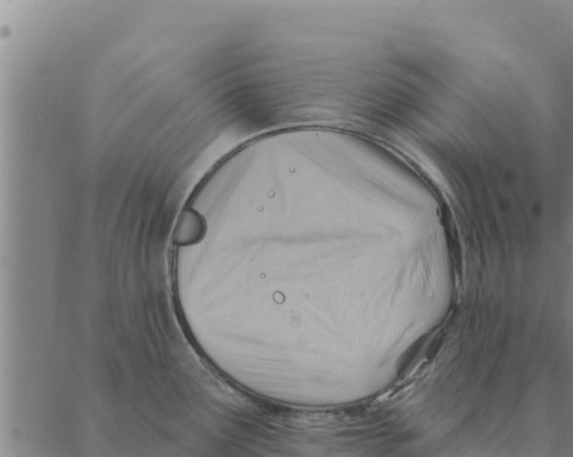 X0000088411291200706191413