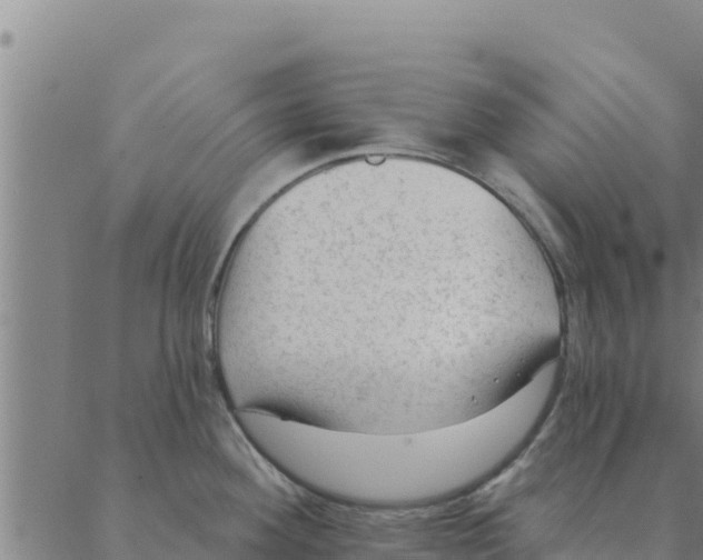 X0000088411292200706191413