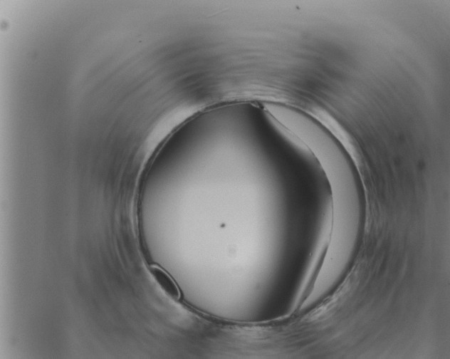 X0000088411293200706191413