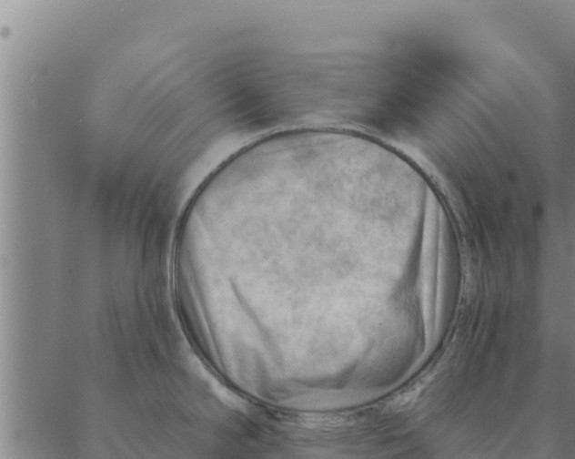 X0000088411294200706191413