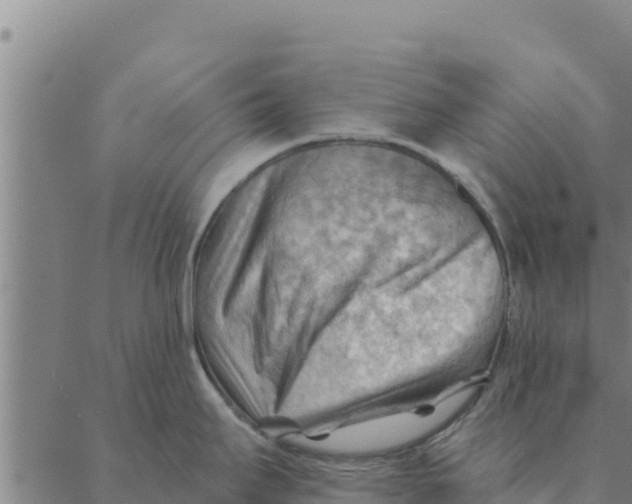 X0000088411295200706191413