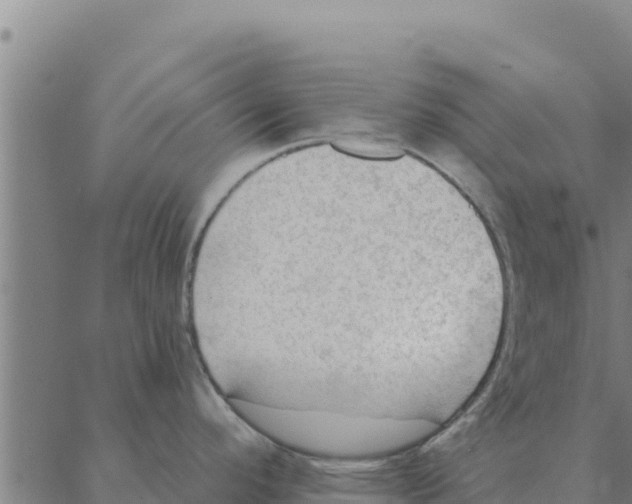 X0000088411296200706191413