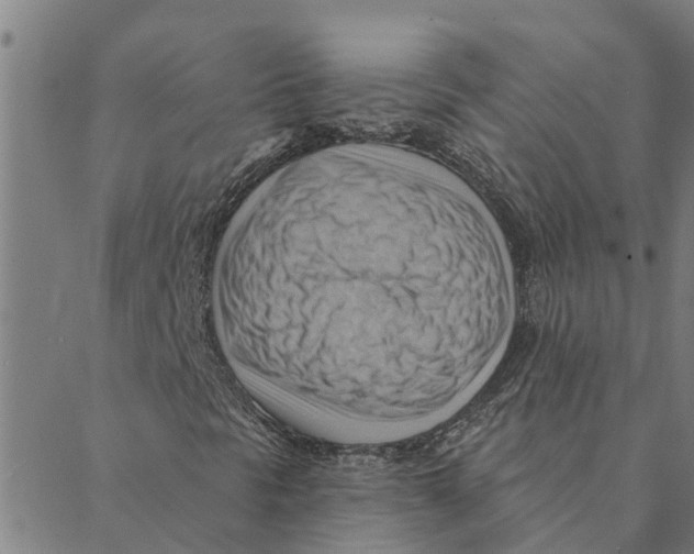 X0000088411297200706191412