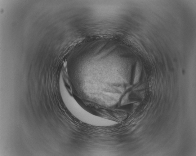 X0000088411298200706191412