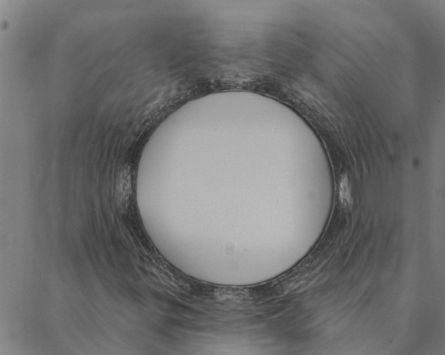 X0000088411299200706191412