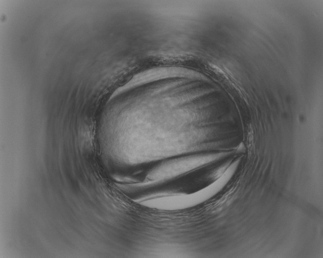 X0000088411300200706191412