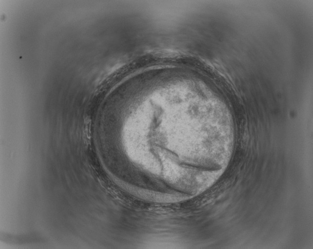 X0000088411301200706191412