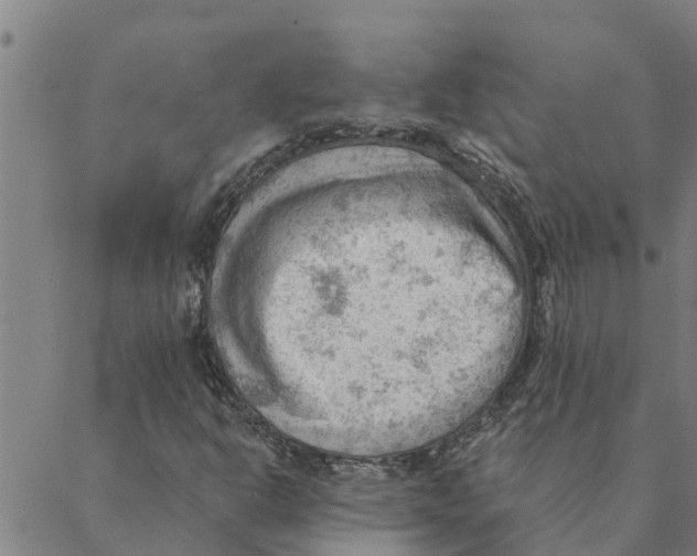 X0000088411302200706191412