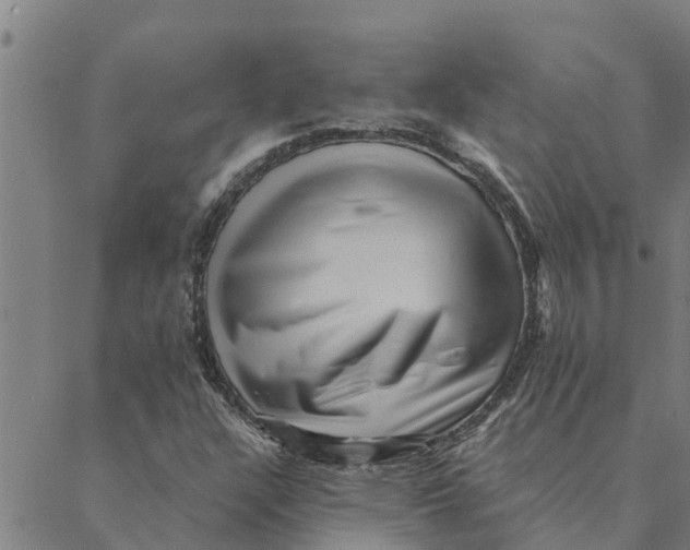 X0000088411304200706191412