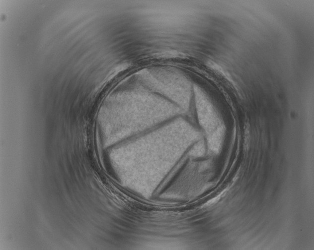 X0000088411305200706191412