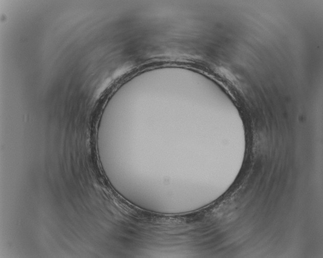 X0000088411307200706191412