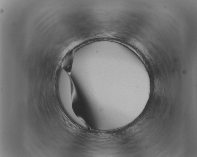 X0000088411308200706191412